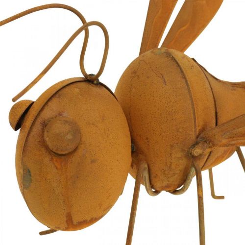 Floristik24 Dekoratív szitakötő, ágydekoráció, kerti figura patina L28cm H21cm