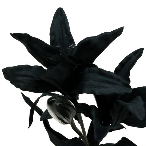 tételeket Művirág liliom fekete 84cm