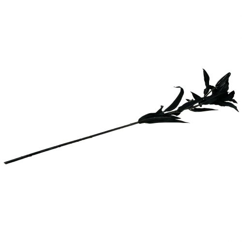 tételeket Művirág liliom fekete 84cm