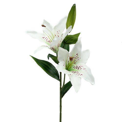 Floristik24 Liliom fehér 66 cm