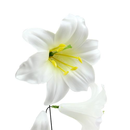 tételeket Liliom dróton közepes 25 db