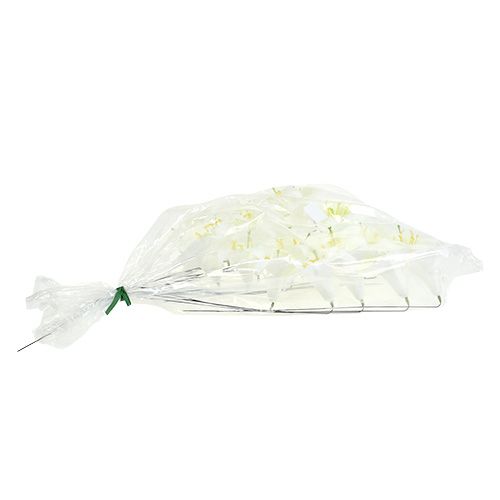 tételeket Liliom dróton közepes 25 db