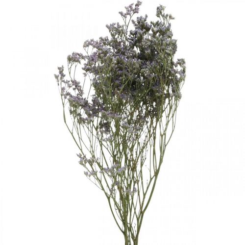 Floristik24 Száraz virágok, Tengeri levendula, Statice Tatarica, Tengeri levendula, Limonium Violet L45-50cm 30g