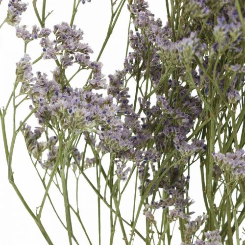 Floristik24 Száraz virágok, Tengeri levendula, Statice Tatarica, Tengeri levendula, Limonium Violet L45-50cm 30g