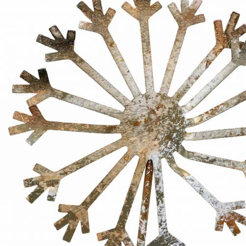 Floristik24 Kerti dugó pitypang patina fém Ø10 H49cm