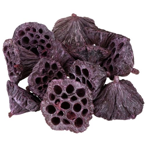 tételeket Lótusz kapszula, száraz virágkötő, lótuszhagyma rózsaszín, mosott fehér 50 db