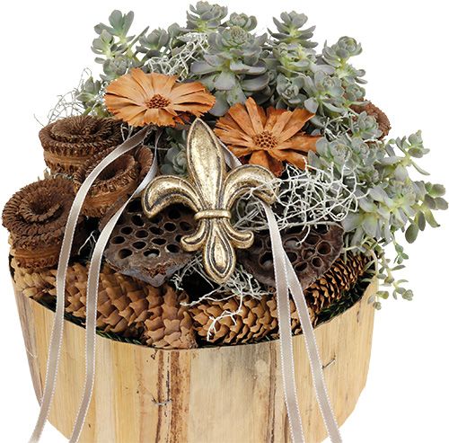 tételeket Lótuszhagyma nagy 100 db natúr