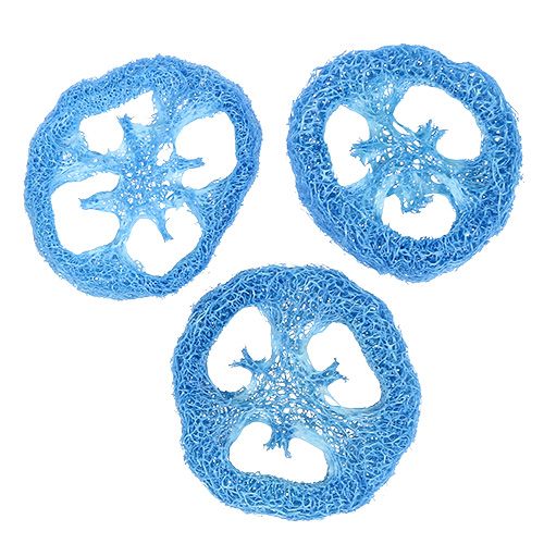 Floristik24 Luffa korongok égszínkék 25 db