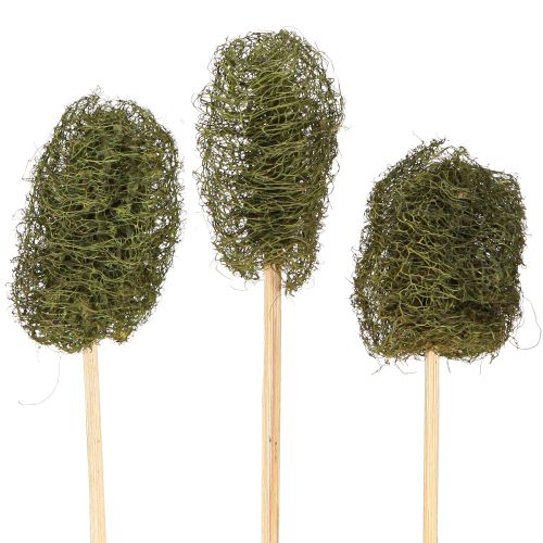 Floristik24 Luffa kis piskóta pálcikán uborka sötétzöld 5-7cm 25 db