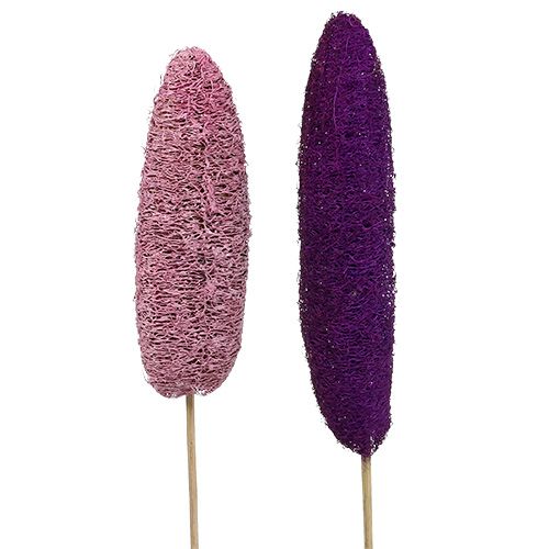 tételeket Luffa pálcán nagy rózsaszín, Erika 8cm - 30cm 25 db