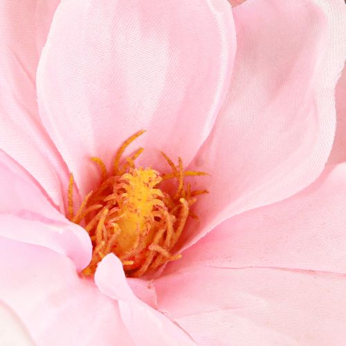 tételeket Magnólia rózsaszín művirág művirág ág H40cm 2db