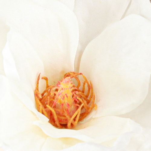 tételeket Magnólia fehér művirágrügyek dekorációs ág H40cm 2db