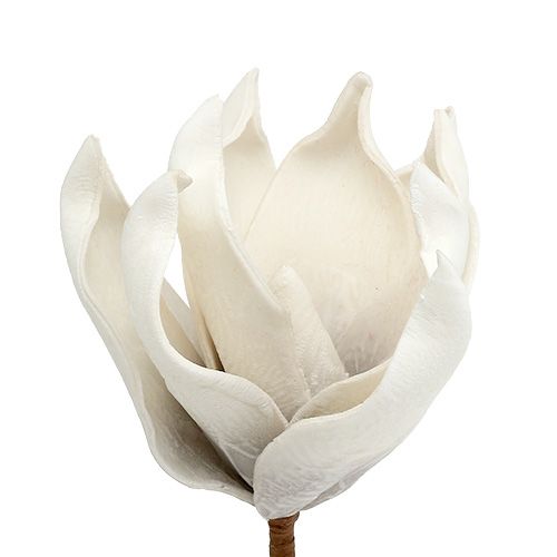 tételeket Magnólia virág habszürke, fehér Ø10cm L26cm 4db