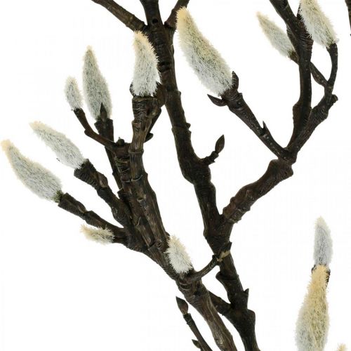 tételeket Mesterséges magnólia ág tavaszi dekorációs ág rügyekkel Barna Fehér L135cm