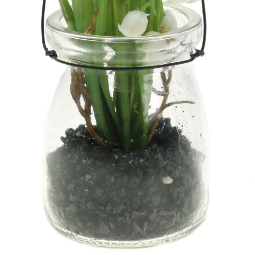 Floristik24 Gyöngyvirág egy pohárban akasztani H22cm