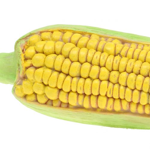 Floristik24 Kukoricacsutka art zöldségek 20cm