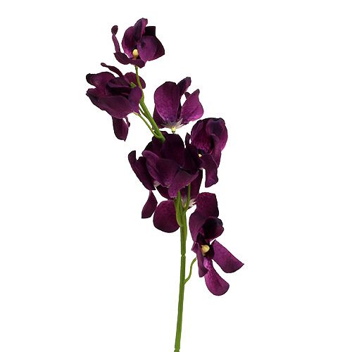 tételeket Mokara orchidea lila 50cm mű 6db