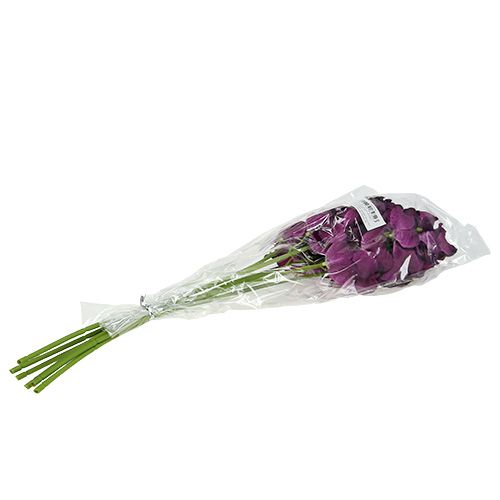 tételeket Mokara orchidea lila 50cm mű 6db