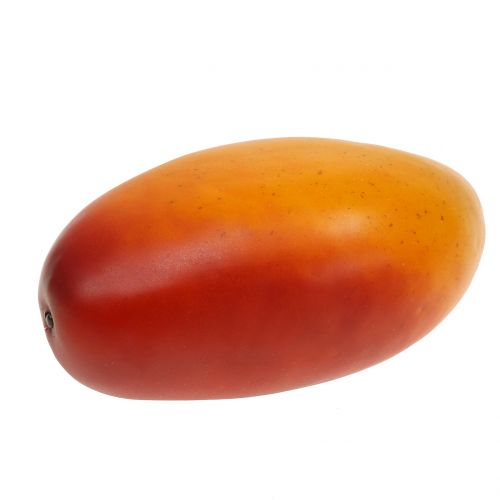 Floristik24 Mangó 14cm x 7cm