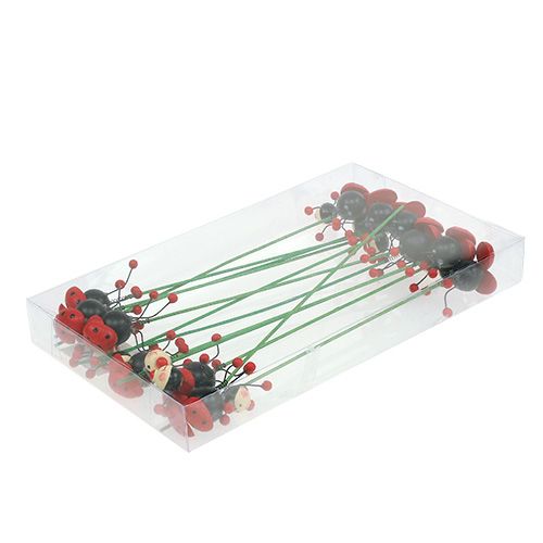 Floristik24 Katicabogár pálcán 5cm 12db