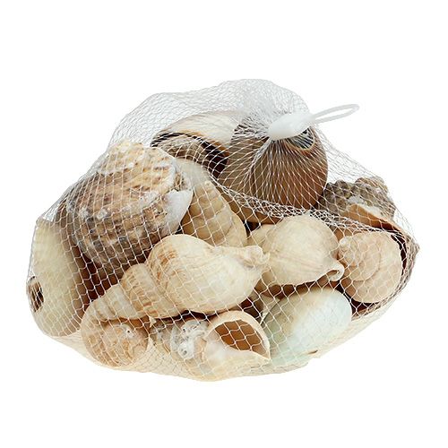 tételeket Maritime deco shell mix természet 400g