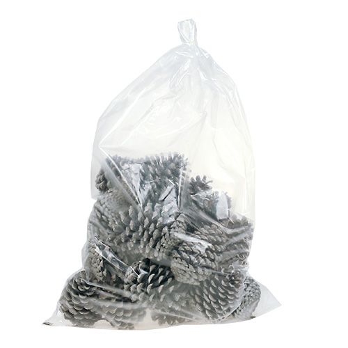 tételeket Maritima kúpok 10cm - 14cm fehérre meszelt 25 db