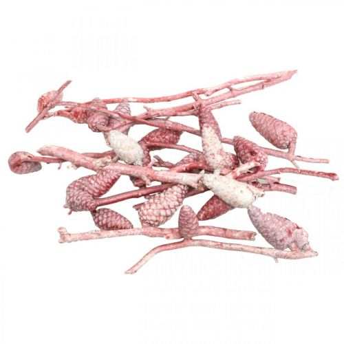 Floristik24 Tengeri kúp ágon rózsaszín/fehér viaszos 400g