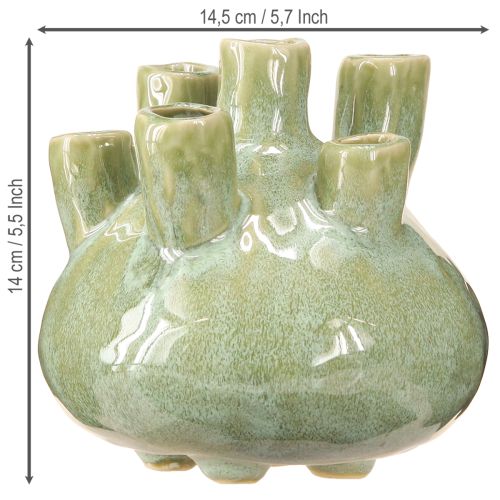 tételeket Tengeri dekorációs váza Coral Design Világoszöld Ø14,5cm H14cm