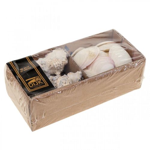 Floristik24 Tengeri dekorációs kagylók Csigahéjak Streudeko 600g