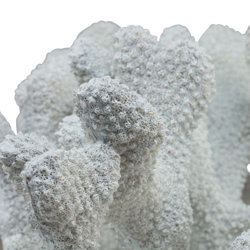 Floristik24 Tengerészeti dekoráció korall polirezin fehér 38cm × 44cm × 27cm