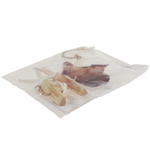 tételeket Tengeri dekoratív akasztós tengeri csillag Ø10-12cm 40cm