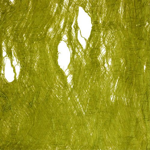 Floristik24 Eperfa kéreg almazöld 250g