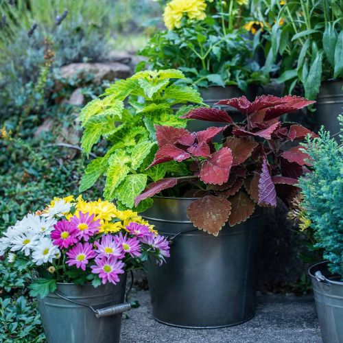 Floristik24 Fém edény, növényi vödör, fém díszítés Ø27cm H25cm