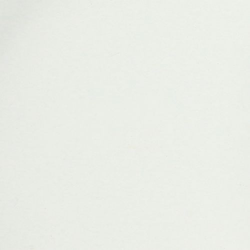 tételeket Tálca praktikus fogantyúkkal sokoldalú használatra otthon és a vendéglátóiparban, 22 cm