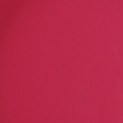 tételeket Sokoldalú tálca, praktikus tároló étkezőbe és teraszra, 22 cm