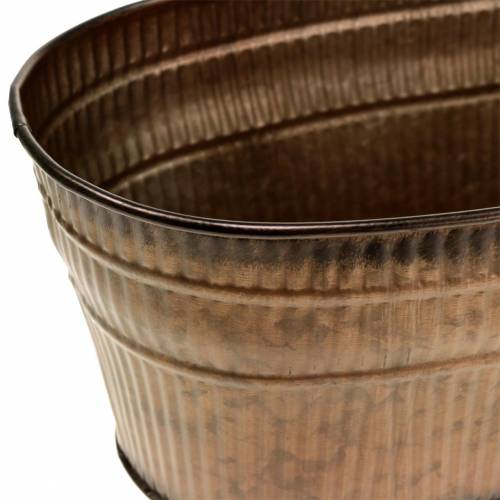 Floristik24 Növénytál ovális narancssárga, barna, zöld 26×13,5cm H11cm 3 db-os készlet