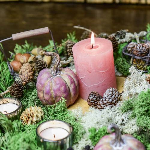 Floristik24 Mini sütőtök készlet narancssárga, lila Ø6,5-7cm 6 db