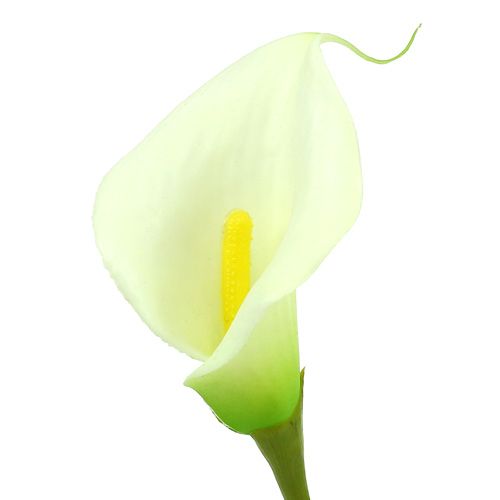 Floristik24 Mini calla műfehér L 28cm 12 db