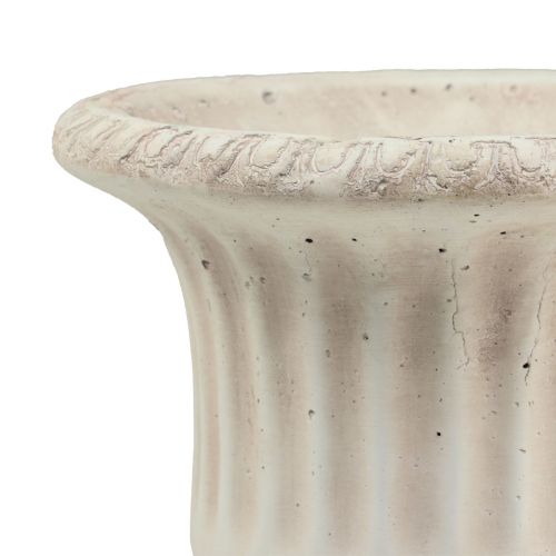 Floristik24 Mini cserepes csésze beton dekoratív virágcserép Antik 16,5 cm
