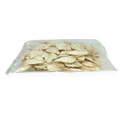 Floristik24 Palm lándzsa mini short fehérített 50 db