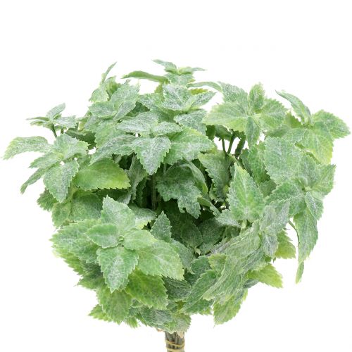 Menta műzöld 25cm 12 db