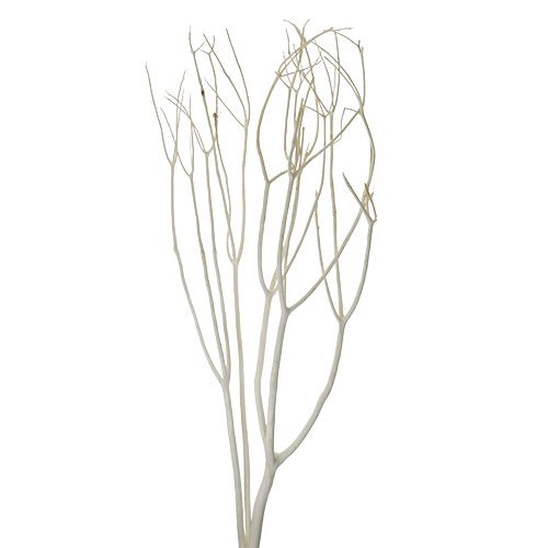 Floristik24 Mitsumata dekoratív ágak 115cm fehérített 3 db