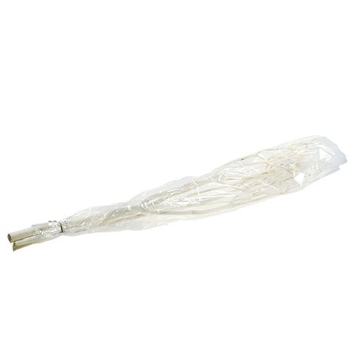 Floristik24 Mitsumata dekoratív ágak 115cm fehérített 3 db