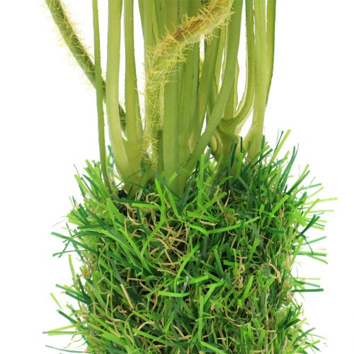 tételeket Mákpiros a fűben 23cm