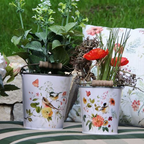 tételeket Mákpiros a fűben 23cm