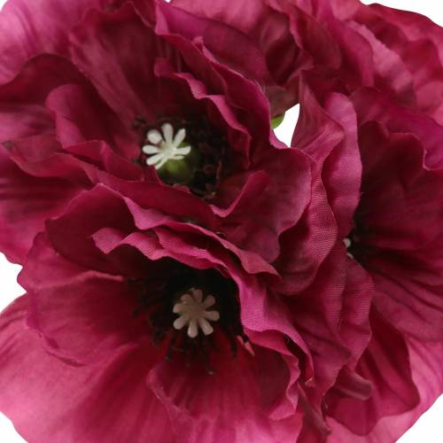 Floristik24 Máklila 29cm 6db