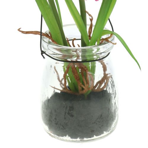 Floristik24 Mák egy pohárban akasztható rózsaszín H22cm