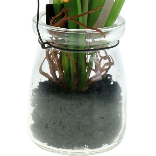 Floristik24 Mákos narancssárga pohárban akasztható H22cm