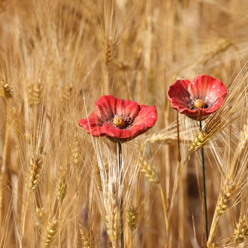 Floristik24 Kerámia Pipacs Virág Romantikus Dekoráció Tavaszi Kertbe és Virágágyásokba 31cm 6 db