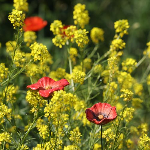 tételeket Kerti karó pipacs alakú kerámia, szokatlan minta virágágyásokba, 52 cm, 2 darab